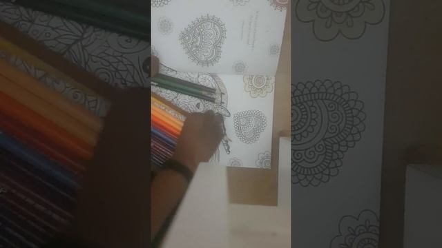 First time colouring on camera смотреть онлайн