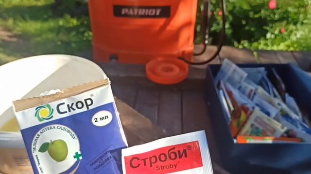 Летняя обработка сада в июне и начале июля. Препараты от болезней и вредителей, листовая подкормка. смотреть онлайн
