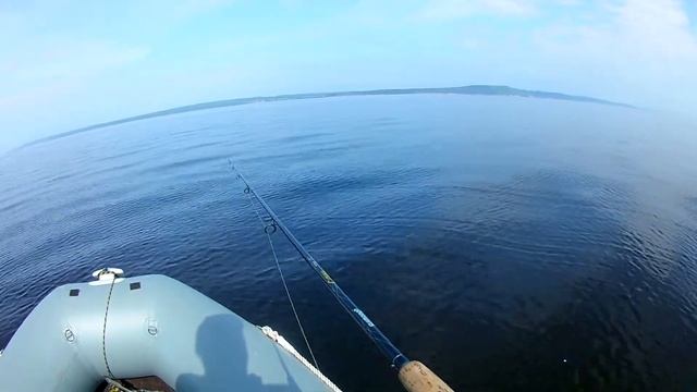 ОТЛИЧНЫЙ КЛЕВ ОКУНЯ НА ОТВОДНОЙ С ЛОДКИ ДЕНЬ первый. смотреть онлайн