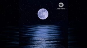 СЕРГЕЙ ГРИЩУК ЛУННАЯ НОЧЬ