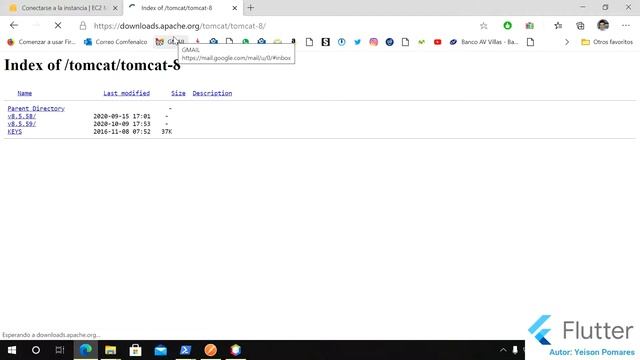 4 Servidor Web Apache Tomcat Java 11 Linux AWS EC2 смотреть онлайн