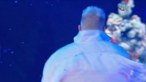 GORODA — Звенит Январская Вьюга