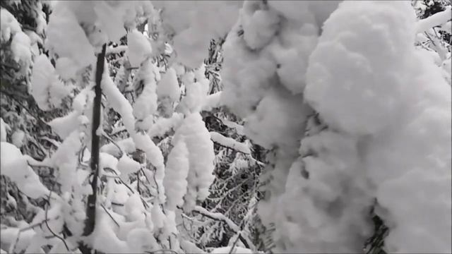 Русский лес-Зимняя СКАЗКА (RUSSIAN FOREST). Пошёл на охоту,а поймал красоту природы! смотреть онлайн