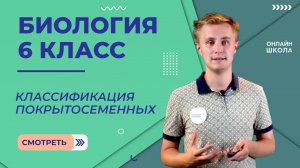 Классификация покрытосеменных. Видеоурок 20. Биология 6 класс