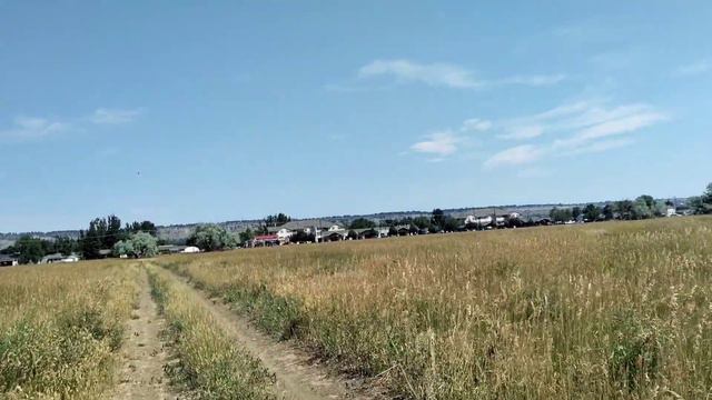 Частная собственность в США. Где можно ходить, а где нельзя? смотреть онлайн