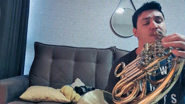 The shadow of your smile - trompa смотреть онлайн