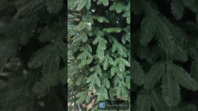 Литая елка с зелеными иголками смотреть онлайн