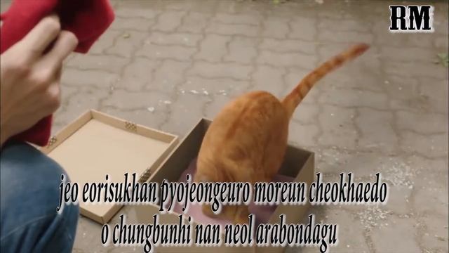 [RM] Mina gugudan – Peach Paradise (Ost Mama Fairy and the Woodcutter) смотреть онлайн