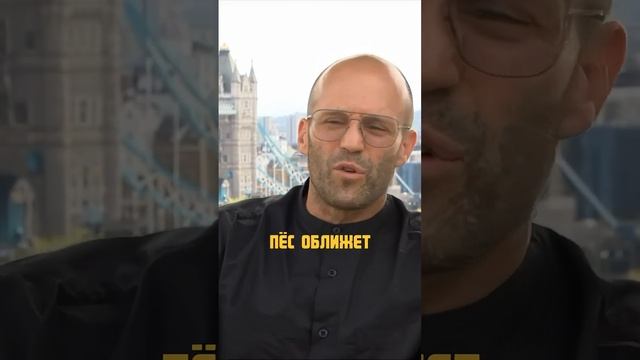 Стетхэм - про волков) смотреть онлайн