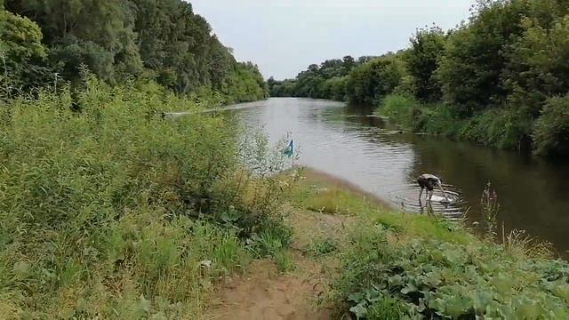 19 ноября 2020 г. смотреть онлайн