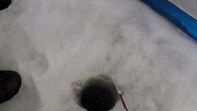 зимняя рыбалка 29.02.2022 лаврушка даёт жару бешеный клёв как ловить подлещика на безмотылку смотреть онлайн