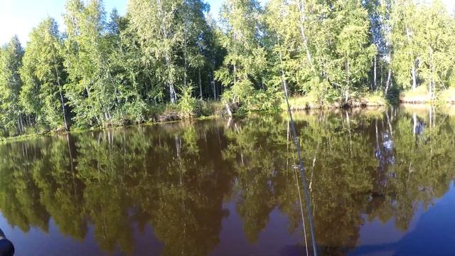 Разведка клева хищника в августе. смотреть онлайн