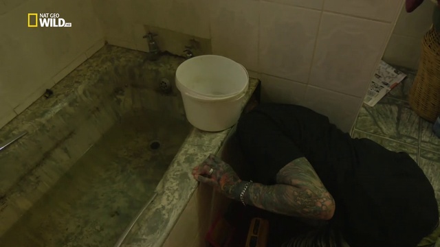 Бешеная смотреть онлайн