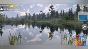 Пелядь▷прохождение My fishing world▷ мой рыболовный мир▷где и на что ловить▷креветка