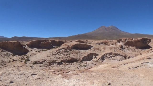 Боливия обыкновенная. Bolivia Ordinario.