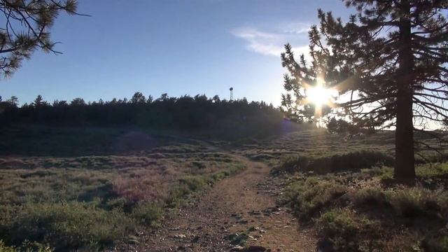 UFO Seekers®: ALIEN ENCOUNTER at Pine Mountain Club (S1E11) смотреть онлайн
