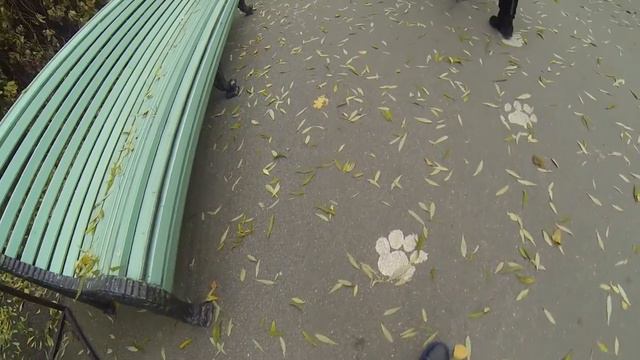 ВЛОГ/VLOG #3/ ПОХОД В ЗООПАРК смотреть онлайн