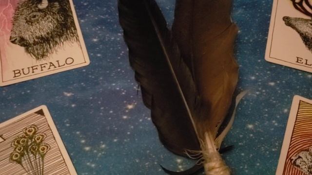 Animal Spirit Oracle ???? смотреть онлайн