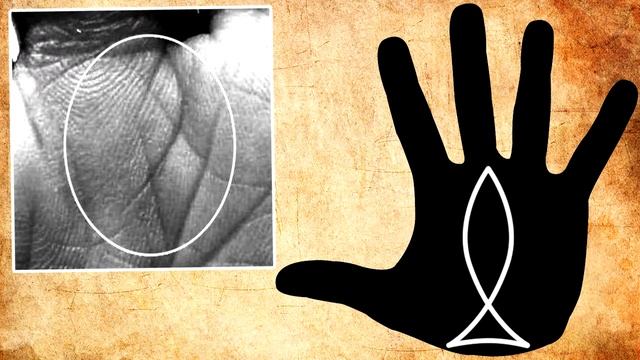 РЫБА на руках / хиромантия / Кладезь Хиромантии смотреть онлайн