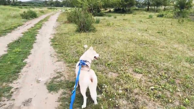 Хакасия часть 3. Летник - деревня детства смотреть онлайн