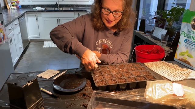 PLANTING MAVERICK APPLEBLOSSOM GERANIUM SEEDS 🌱. смотреть онлайн