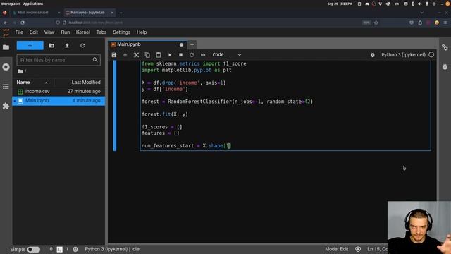 Finding Optimal Number of Features For Training AI Models смотреть онлайн