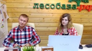 Какую наждачку ипользовать для шлифовки? Ответ специалиста