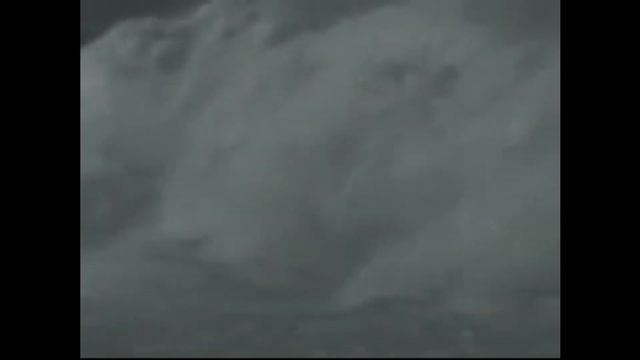 i'm a solo player - albion online edition смотреть онлайн