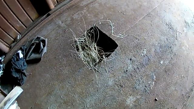 КОПАЕМ ФУНДАМЕНТ. НОВЫЙ ГАРАЖ. ОТЛИЧНЫЙ ГАРАЖ ЗА 48 ТЫСЯЧ.+ БОНУС