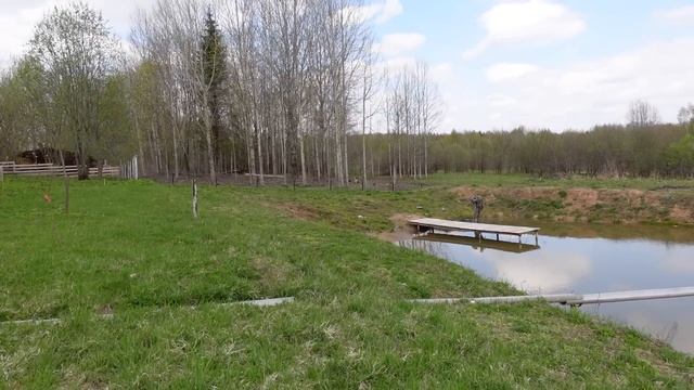 #жизньвдеревне ПРОГУЛКА ПО САДУ ? Эксклюзивный барашек ? смотреть онлайн