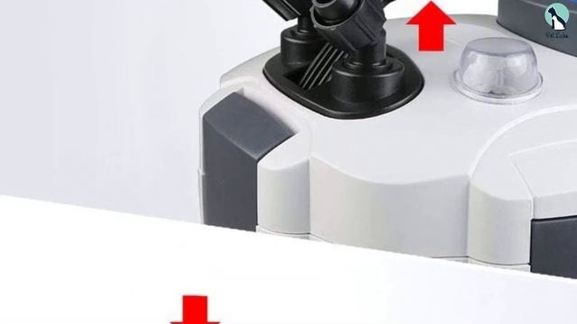 ✅Best Canister Filter For Aquarium in 2023 смотреть онлайн