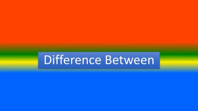 Difference between Dim Sum and Dumplings смотреть онлайн