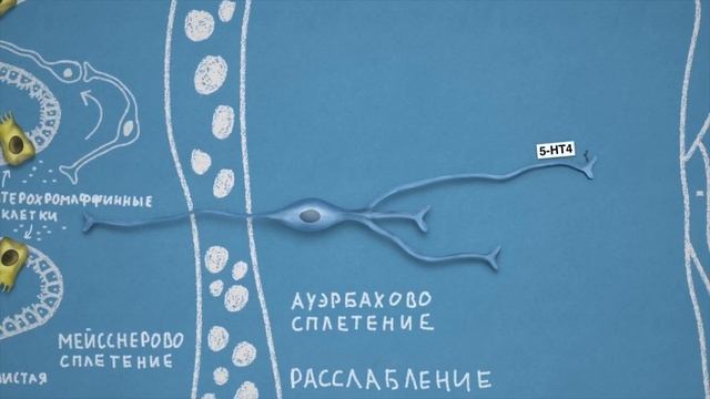 Прокинетики