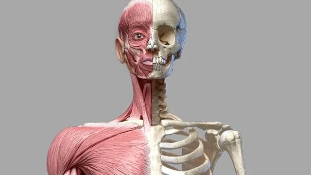 Употребление даже 1 финика натощак может инициировать НЕОБРАТИМЫЕ ИЗМЕНЕНИЯ в организме. смотреть онлайн