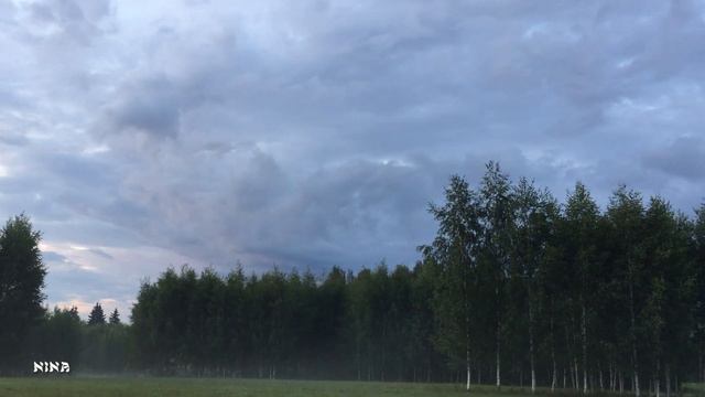 204. Перед Грозой Затихла Вся Природа под Изумительно Красивую Мелодию Эдгара Туниянца! смотреть онлайн