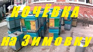 Кочевая пасека на зимовку в Горячий Ключ.Двух семейная зимовка пчел.Улья корпусные 8 рам. смотреть онлайн