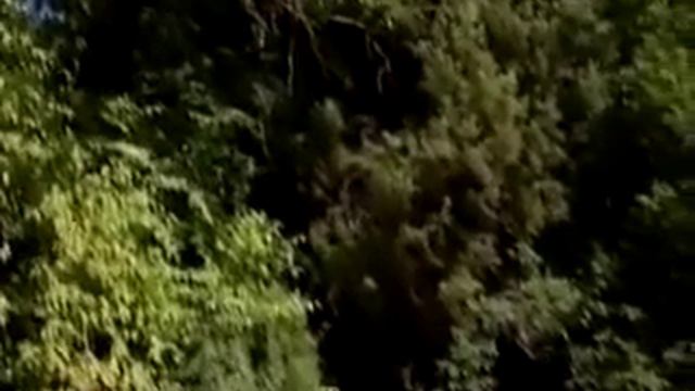 Tours-TV.com: Big Utrish reserve