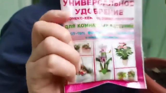 Спасаем растения в РПКБ! Фитоспорин спешит на помощь! смотреть онлайн