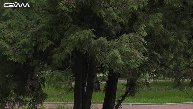 Куряне отмечают всемирный день велосипеда смотреть онлайн