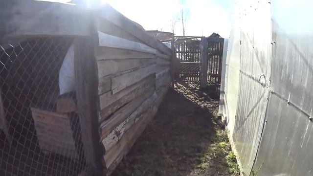 Падеж куриц / Какая причина? смотреть онлайн