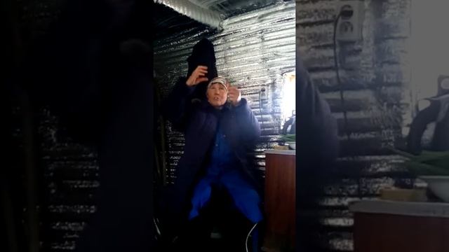 Как различить птинцов - петуха от курицы смотреть онлайн