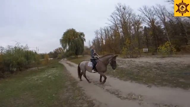 Лошадь Юля Конный клуб Мустанг смотреть онлайн