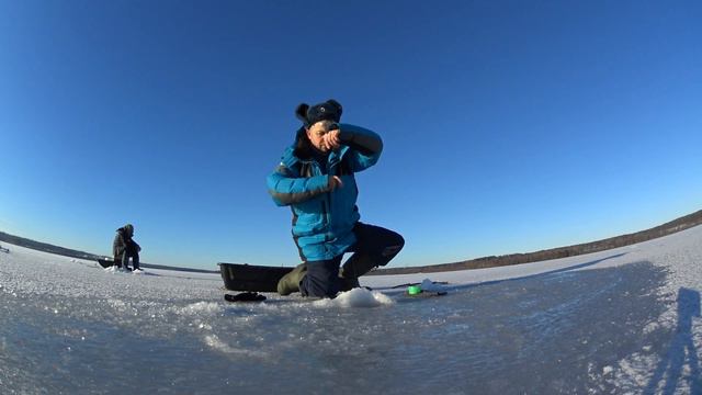 Нанокорюшка