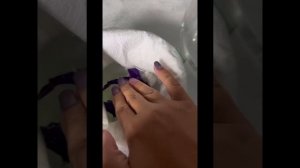 Делаем духи из цветов и воды☺️☀️