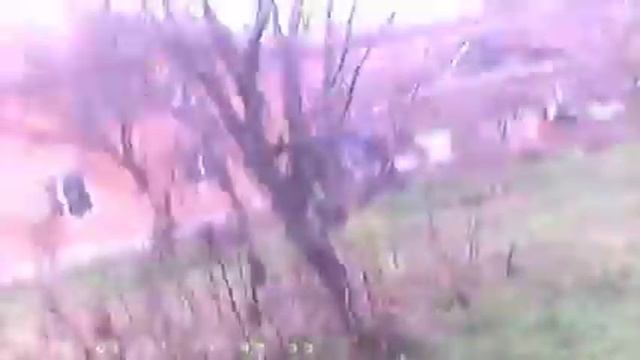 (Отличные) кадры из моего катания, надеюсь после этого вы относитесь в живых... смотреть онлайн