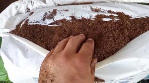 Кислый верховой торф из леса и магазина. Обзор и сравнение