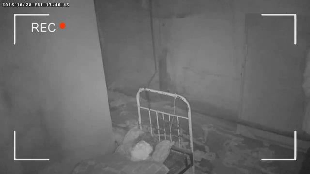 Скрытая камера - Scary HELLoween Party 2016