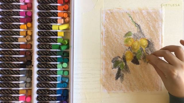 ?Не спеша рисую Ветку лимона по мотивам Клода Моне?️ Масляная пастель от Малевич? Oil pastel смотреть онлайн