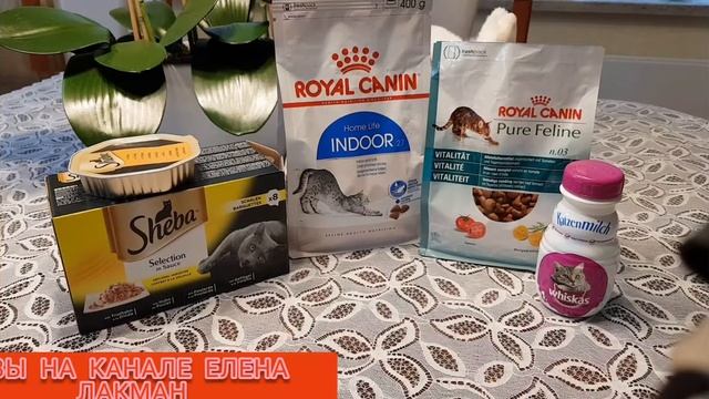 КОШАЧИЙ КОРМ./ОБЗОР . ЧЕМ Я КОРМЛЮ КОШКУ. смотреть онлайн