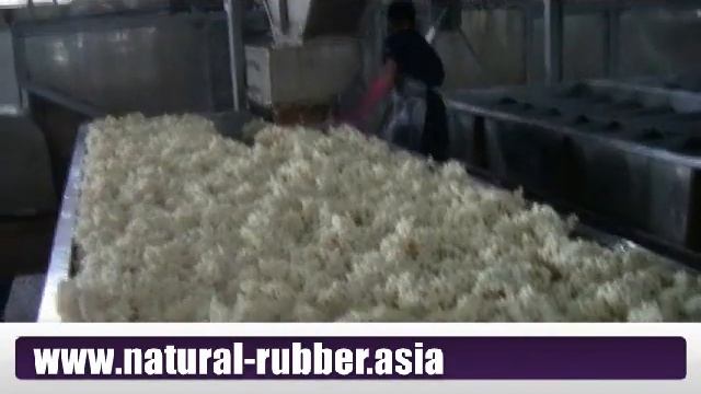 The production process of natural rubber SVR-3L, SVR5 смотреть онлайн